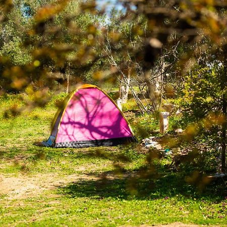 Hotel Camping Panorama à Ouazzane Extérieur photo