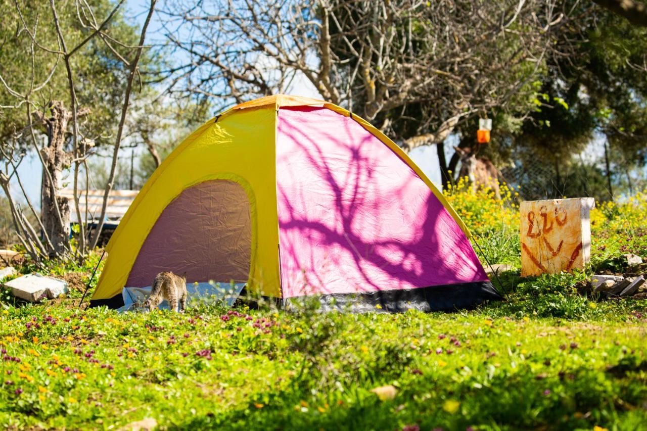 Hotel Camping Panorama à Ouazzane Extérieur photo